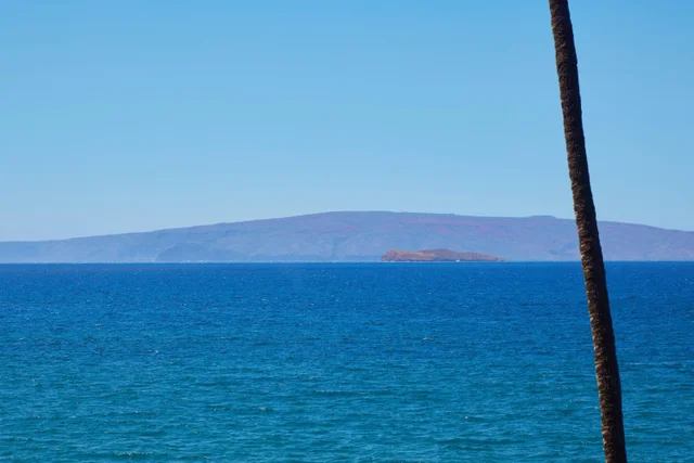 Listing Image for 4000 Wailea Alanui Dr 1602 13 of 50