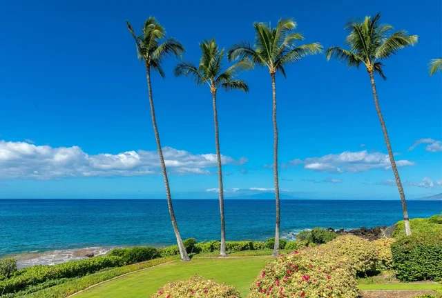 Listing Image for 4000 Wailea Alanui Dr 1602 3 of 50