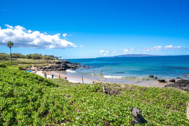 Listing Image for 2695 S Kihei Rd 5205 36 of 36