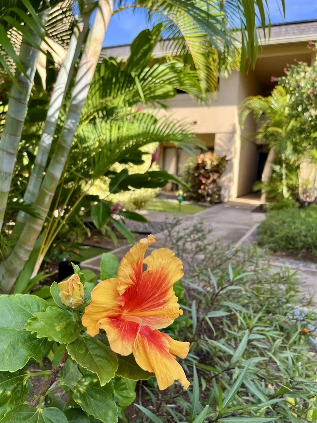 Listing Image for 1450 S Kihei Rd A208 35 of 35