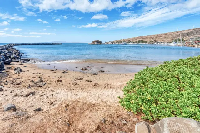 Listing Image for 50 Hauoli St 103 21 of 45