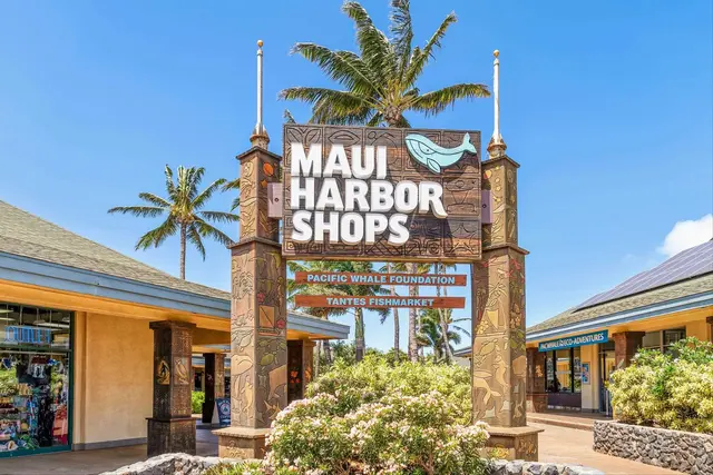 Listing Image for 50 Hauoli St 103 45 of 45