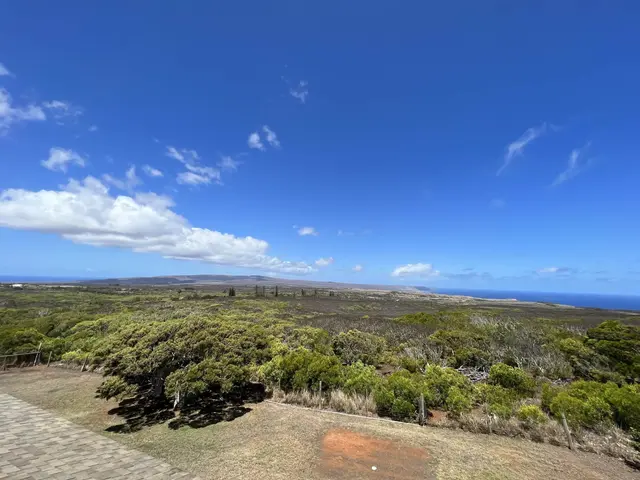 Listing Image for 1060 Mamalu La'i Pl 25 of 27