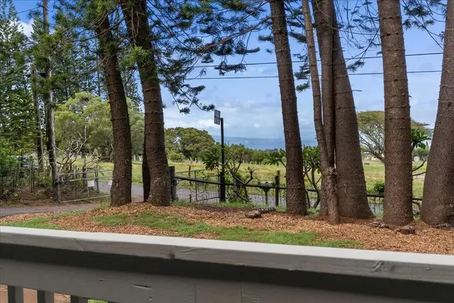 Listing Image for 2481 Liliko'i Rd Unit B 14 of 45
