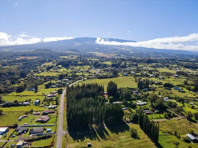 Listing Image for 2481 Liliko'i Rd Unit B 3 of 45