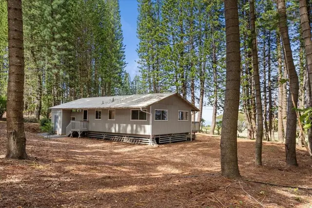 Listing Image for 2481 Liliko'i Rd Unit B 40 of 45