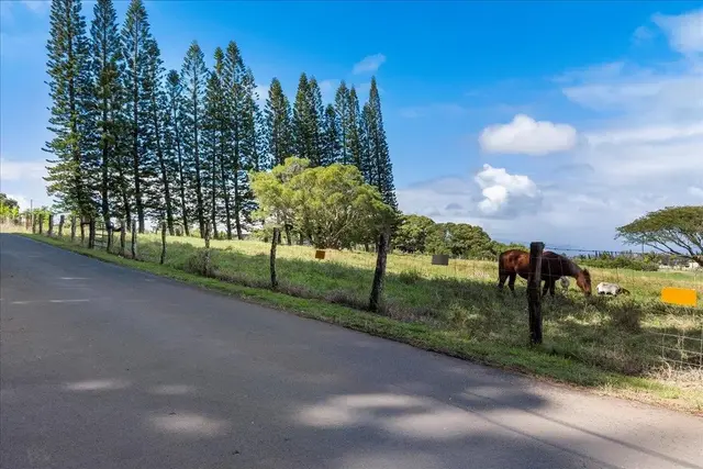 Listing Image for 2481 Liliko'i Rd Unit B 42 of 45