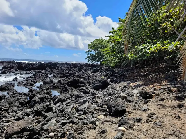 Listing Image for Keanae Rd 11 of 29