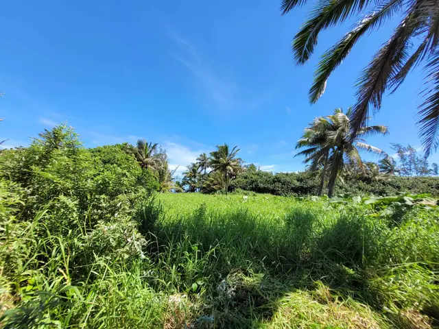 Listing Image for Keanae Rd 12 of 29