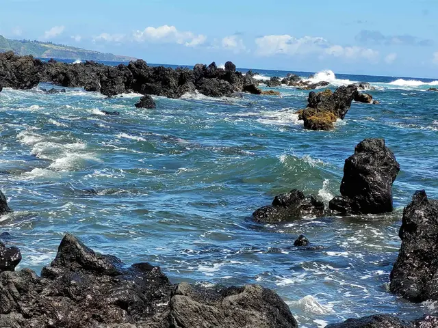 Listing Image for Keanae Rd 13 of 29