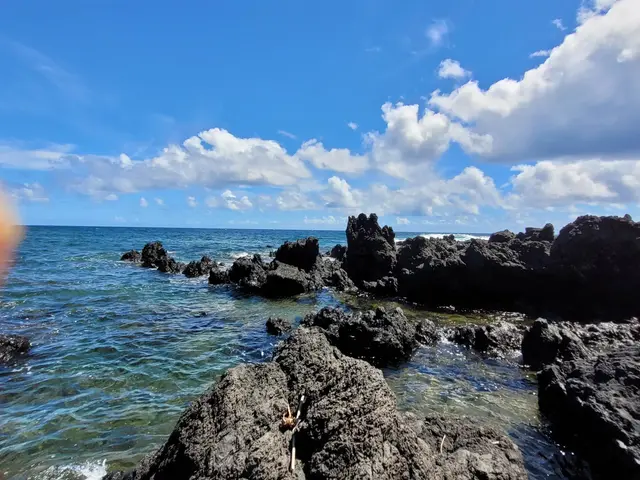 Listing Image for Keanae Rd 17 of 29