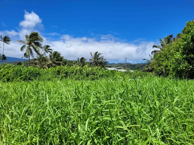 Listing Image for Keanae Rd 18 of 29