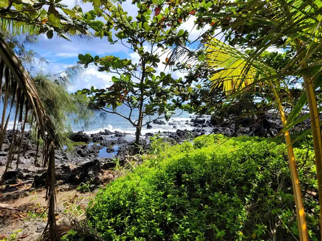 Listing Image for Keanae Rd 19 of 29