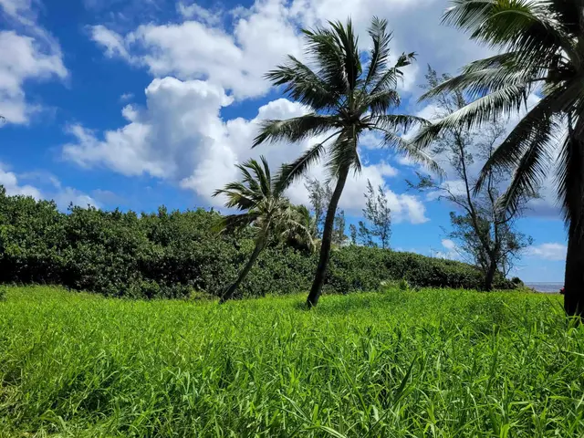 Listing Image for Keanae Rd 24 of 29