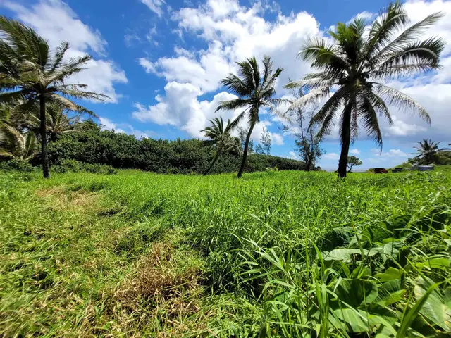 Listing Image for Keanae Rd 25 of 29