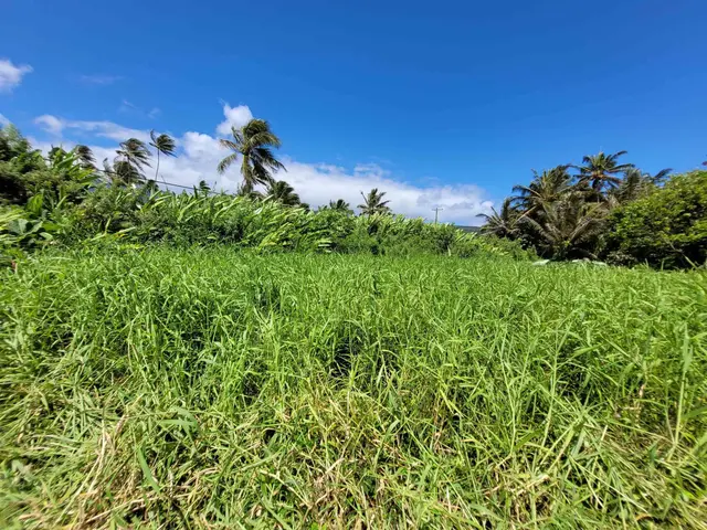 Listing Image for Keanae Rd 26 of 29