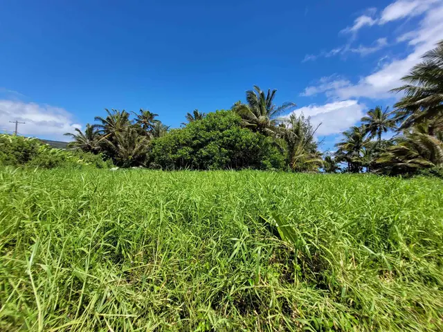 Listing Image for Keanae Rd 27 of 29