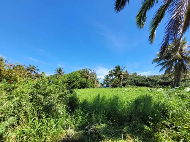 Listing Image for Keanae Rd 28 of 29