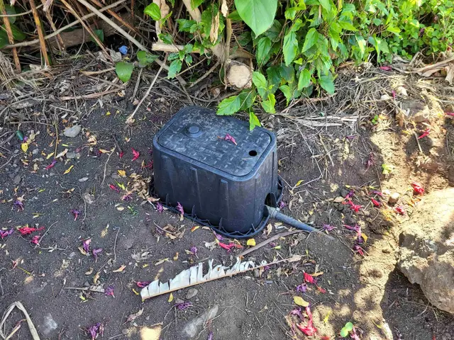 Keanae Rd, Keanae, 399477 - 3/29