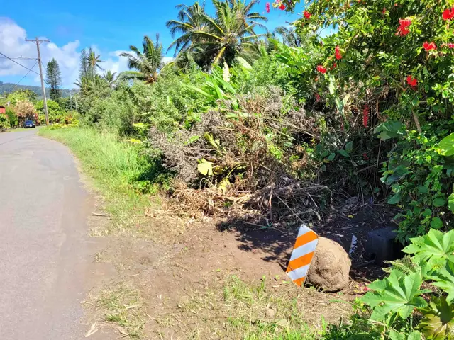 Keanae Rd, Keanae, 399477 - 4/29