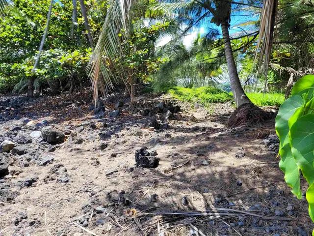 Keanae Rd, Keanae, 399477 - 5/29