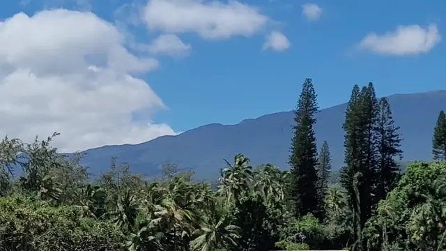 Listing Image for Keanae Rd 6 of 29