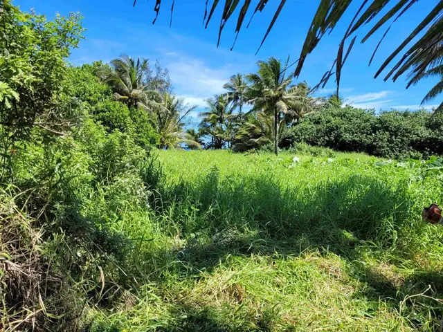 Listing Image for Keanae Rd 8 of 29