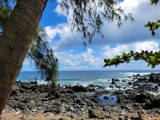 Listing Image for Keanae Rd 9 of 29