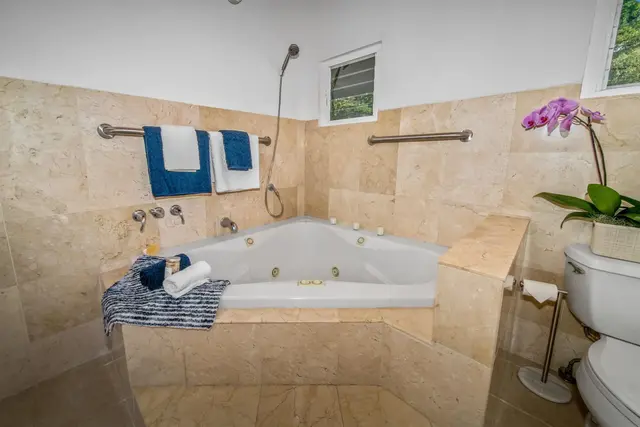 Listing Image for 132 Mahola St 18 of 37