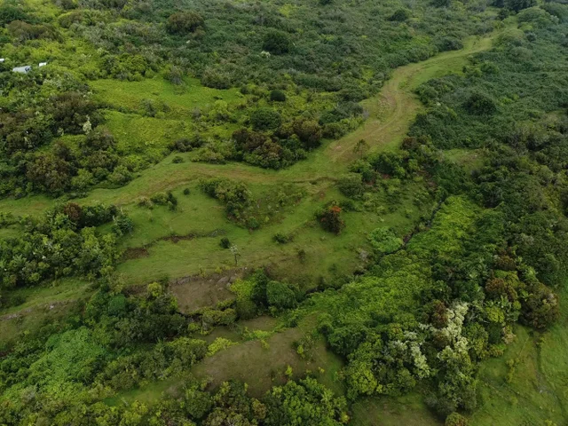 Listing Image for 973 Hana Hwy 5 of 17