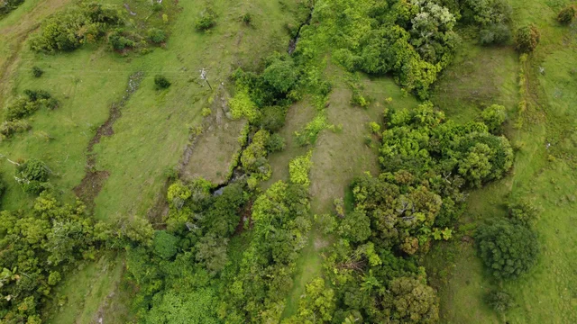 Listing Image for 973 Hana Hwy 6 of 17