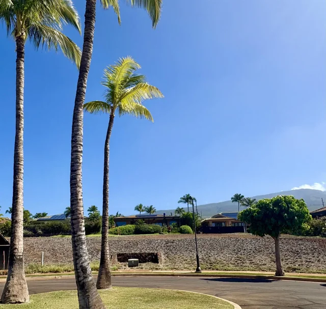 Listing Image for 120 Lewa Lani Pl 17 4 of 4