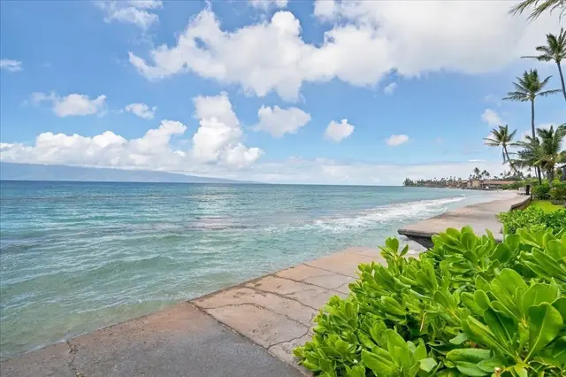Listing Image for 3559 Lower Honoapiilani Rd 1d 32 of 36