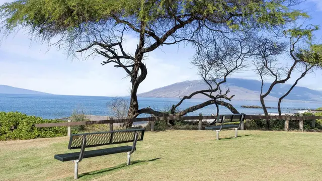 Listing Image for 2695 S Kihei Rd 4407 41 of 42