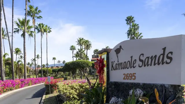 Listing Image for 2695 S Kihei Rd 4407 42 of 42