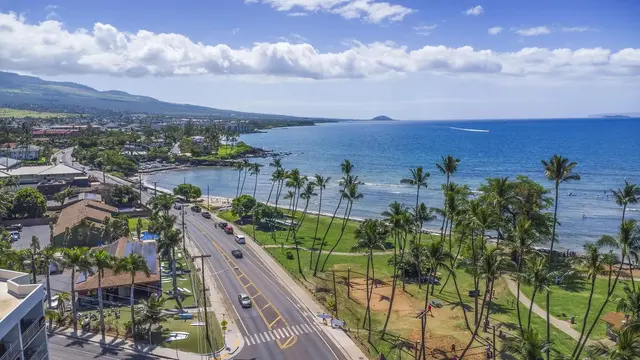 Listing Image for 1993 S Kihei Rd 202 21 of 40