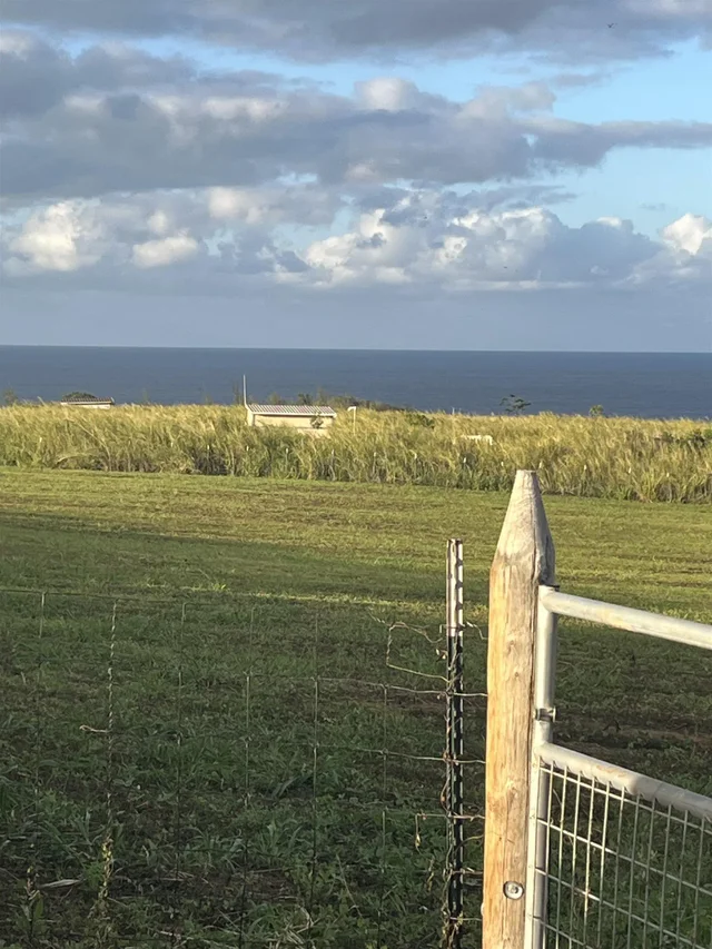 Listing Image for 2865 Hana Hwy Unit A 10 of 16