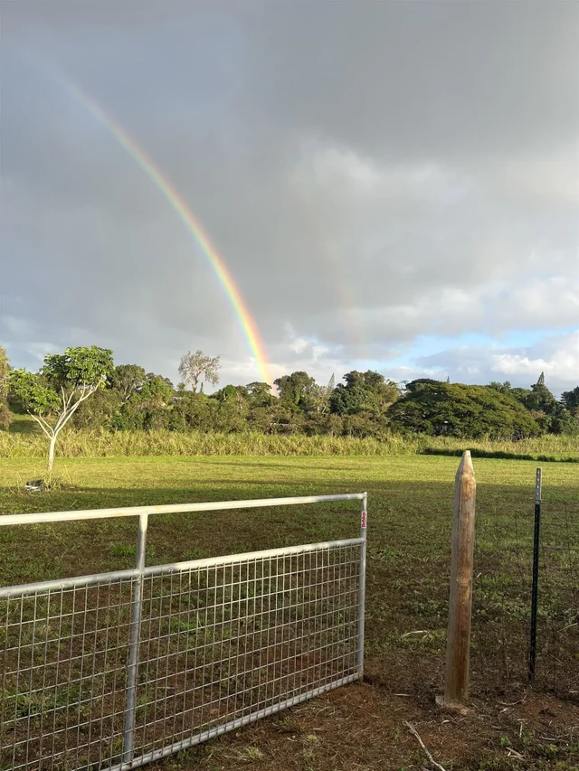 Listing Image for 2865 Hana Hwy Unit A 9 of 16