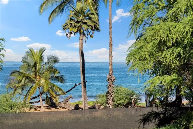 Listing Image for 0 Makena Alanui Rd 44 of 50