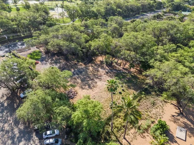 Listing Image for 0 Makena Alanui Rd 49 of 50