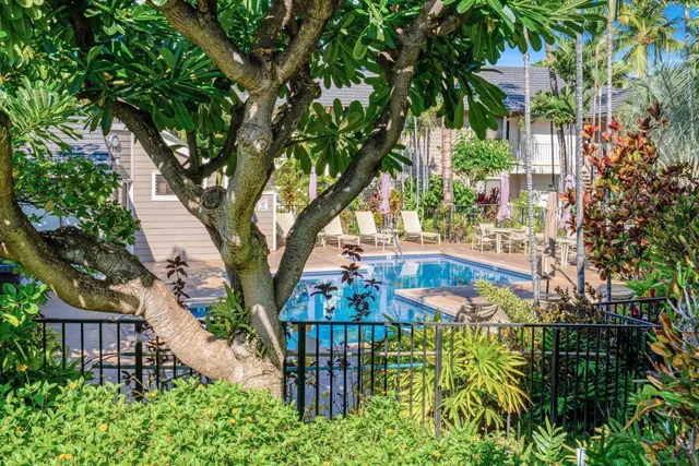 Listing Image for 155 Wailea Ike Pl 40 35 of 44