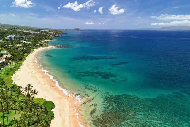 Listing Image for 155 Wailea Ike Pl 40 41 of 44