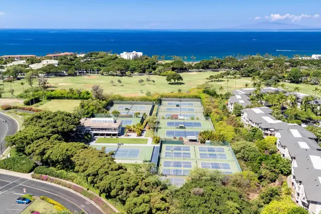 Listing Image for 155 Wailea Ike Pl 40 43 of 44