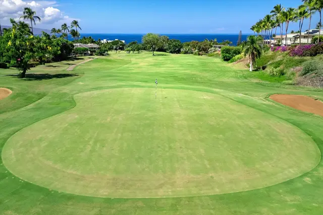 Listing Image for 155 Wailea Ike Pl 40 44 of 44