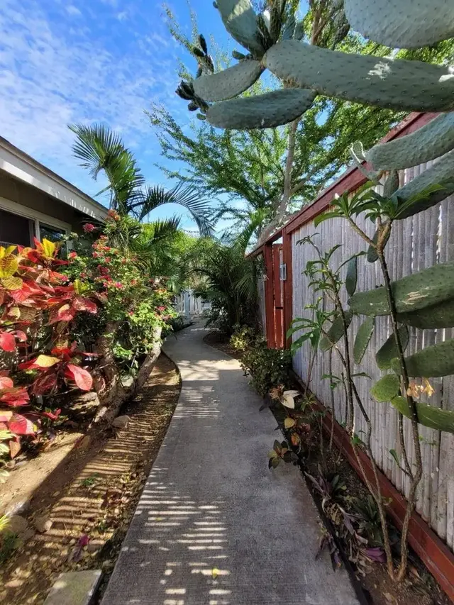 Listing Image for 125 Naniloa Dr 25 of 37