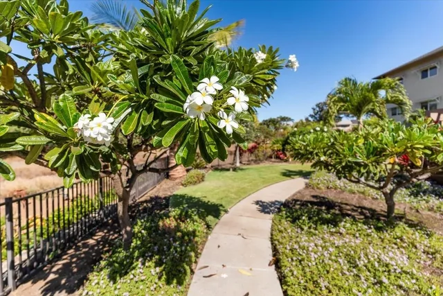 Listing Image for 45 Kanani Rd 204 48 of 50