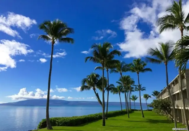 Listing Image for 7142 Kamehameha V Hwy A210 10 of 14