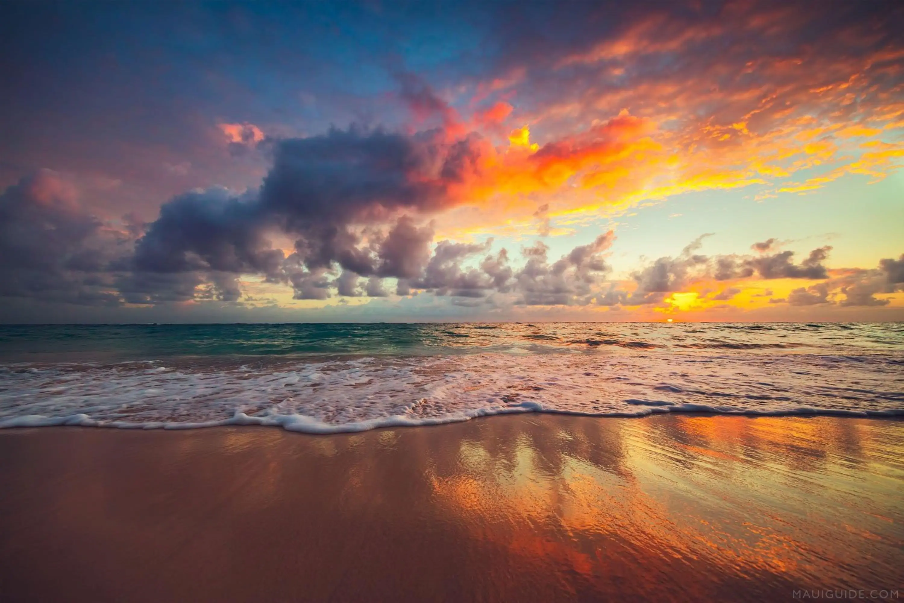 Photo of Listing #408052