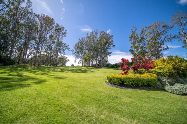 Listing Image for 728 Olinda Rd B 23 of 39