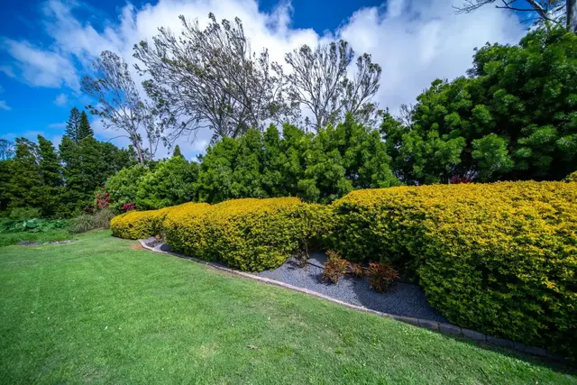 Listing Image for 728 Olinda Rd B 24 of 39